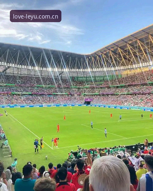 听懂世界杯裁判的“孤勇”，是乐鱼老用户的观赛必修课